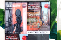 Meyerowitz Exhibition Brussels 2018